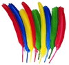 a/anjfponzopm4wjs09b9c.jpg