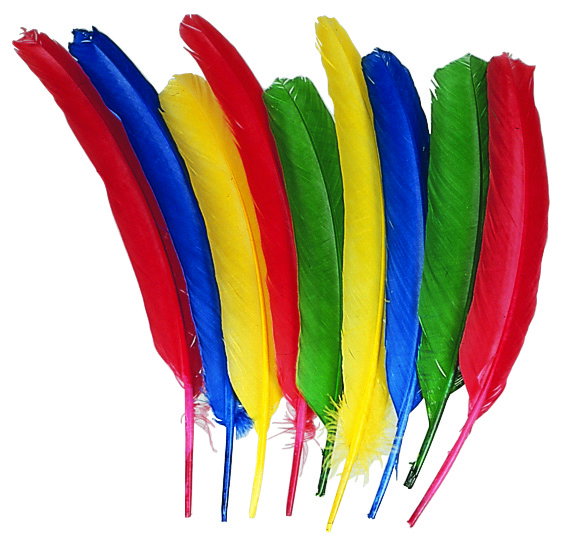 a/anjfponzopm4wjs09b9c.jpg