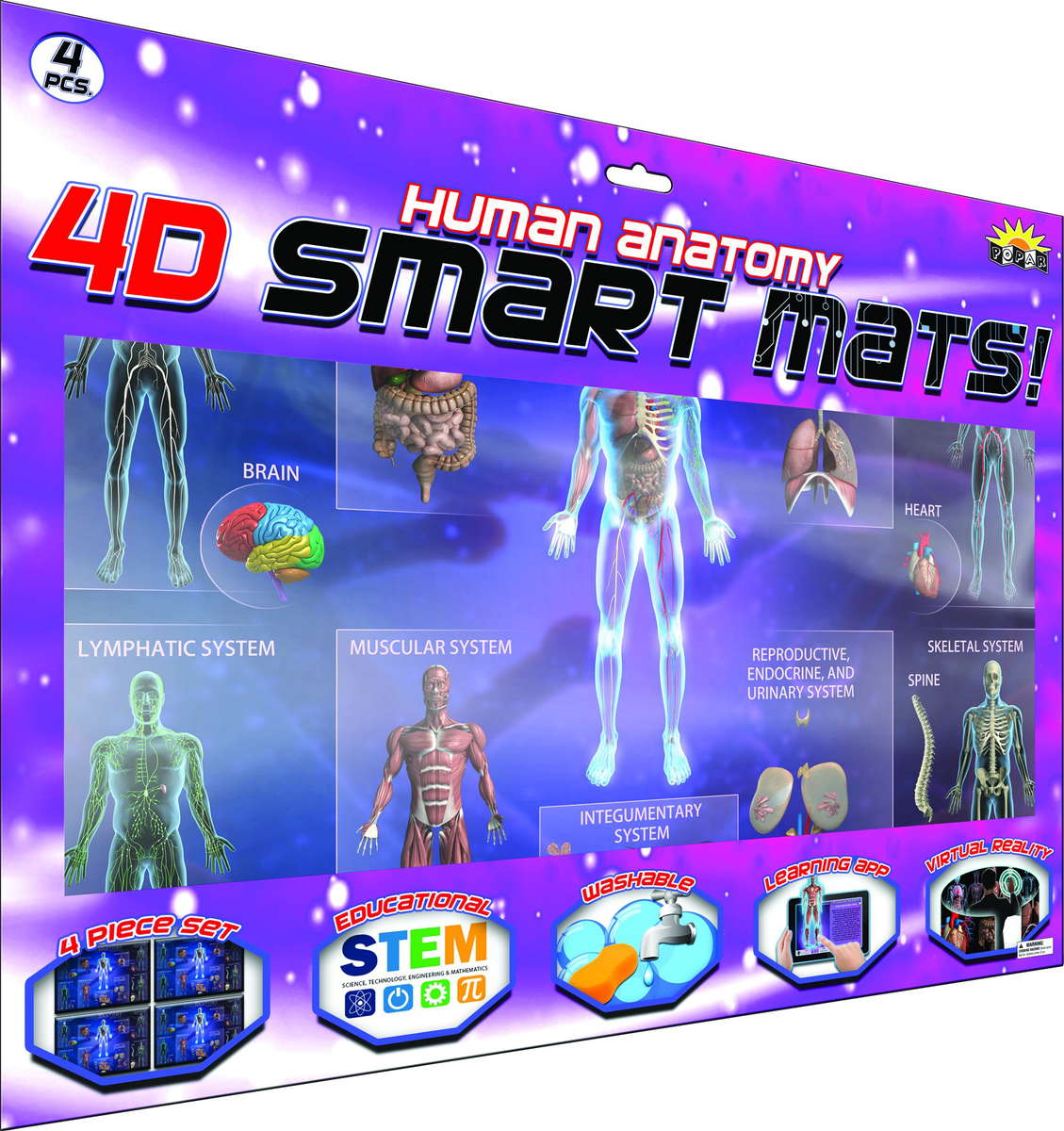 Human Anatomy Smart Mats, Set of 4 IEPSMHA