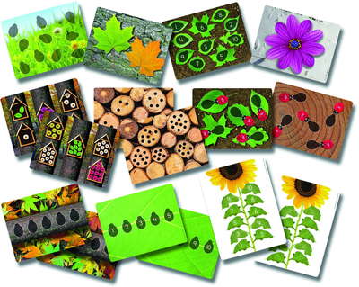 Ladybugs Early Number Cards