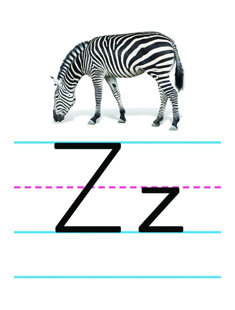 l/llrwsyijcnmwzclytlif.jpg
