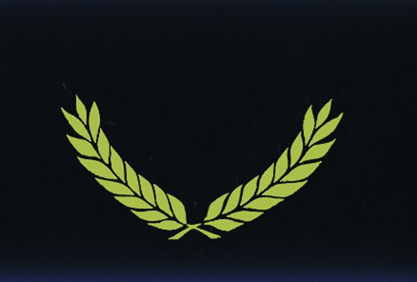 s/smtpl84domjiqjrkgqal.jpg